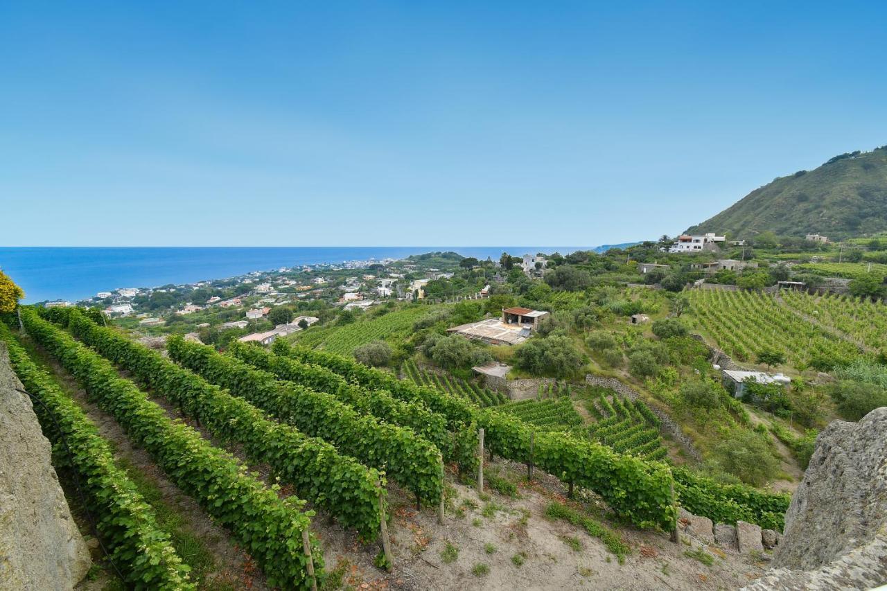 Tenuta C'Est La Vie Forio  Екстер'єр фото